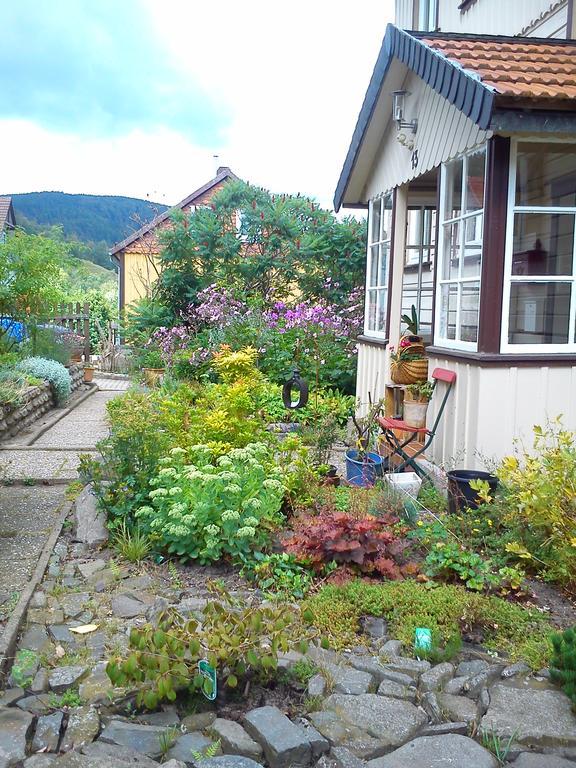 Landhaus Lautenthal Екстер'єр фото