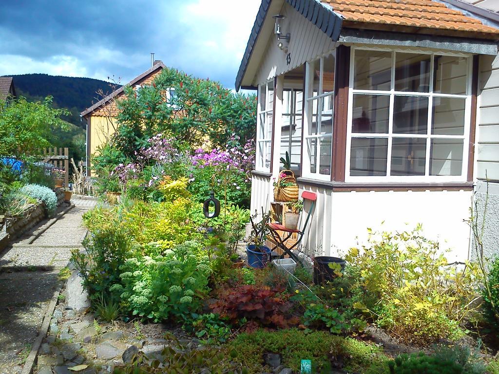 Landhaus Lautenthal Екстер'єр фото