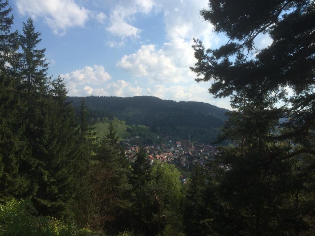 Landhaus Lautenthal Екстер'єр фото