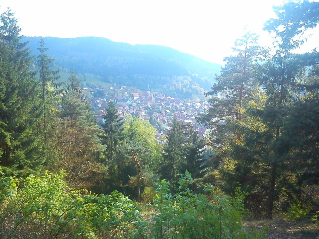 Landhaus Lautenthal Екстер'єр фото