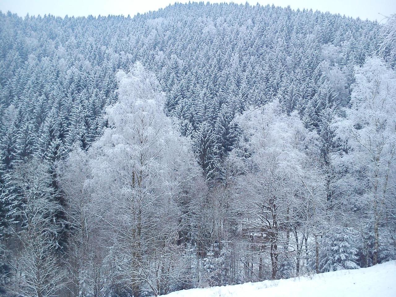Landhaus Lautenthal Екстер'єр фото